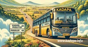 Kadapa Proddutur Bus Timings
